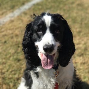 Meet your Posher, Stacey